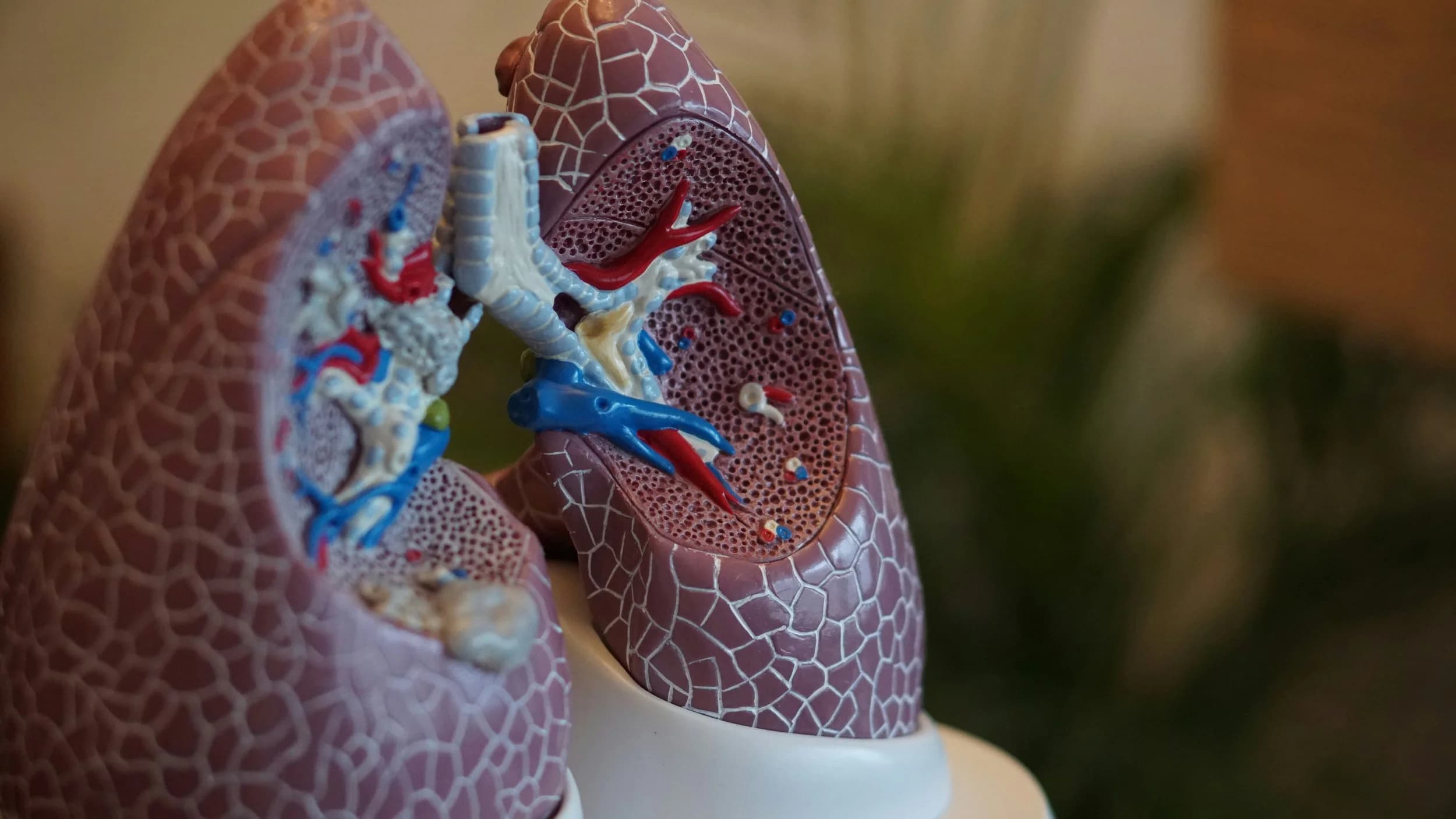 El aire que respiramos: Un vistazo a su composición